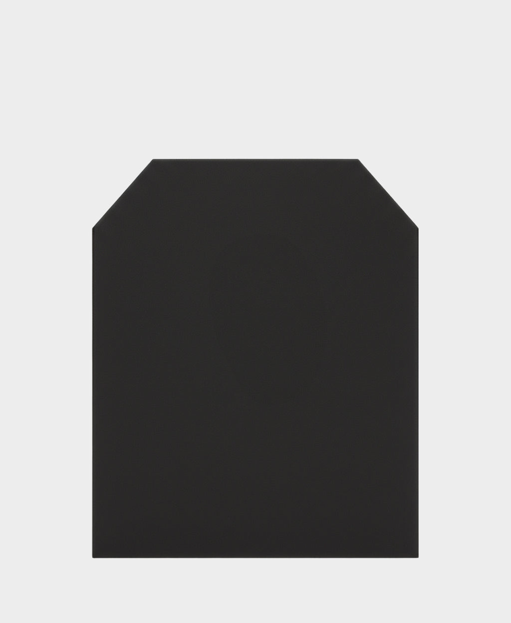 Express Backpack Armor Insert