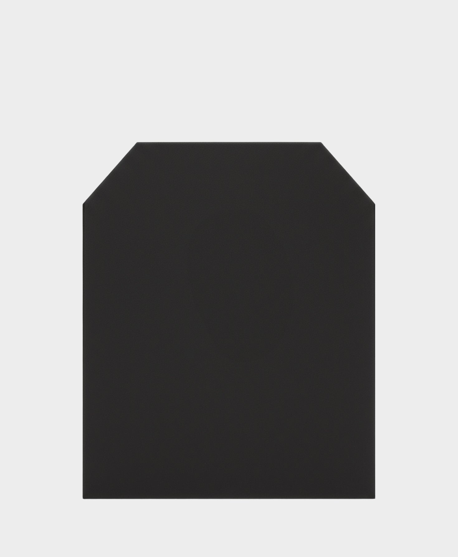 Express Backpack Armor Insert